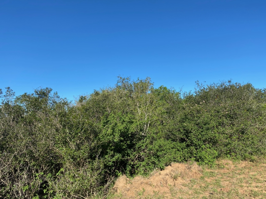 0 Bedroom Property for Sale in Bathurst Eastern Cape